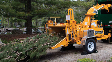 树木粉碎机能处理多粗的树枝？